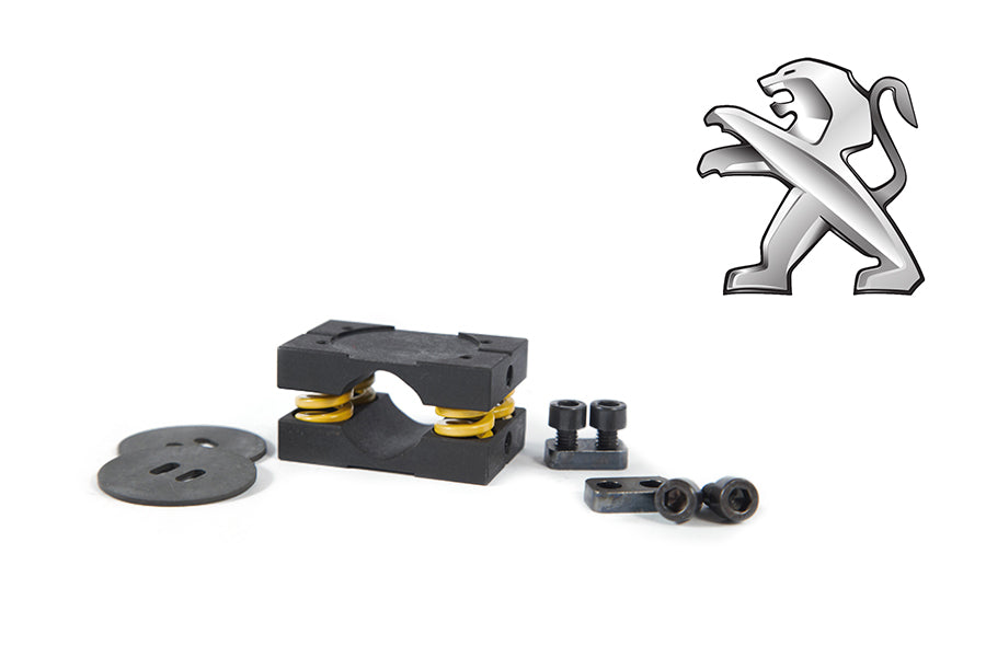 LSD conversion kit for Citroen Saxo VTS and Peugeot 106 GTI with clutch plates springs and mounting hardware